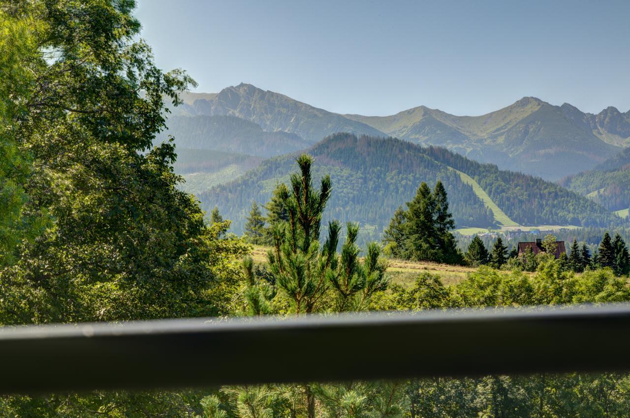Apartamenty Willa Olsza Wood House & Mountain View & Sauna Zakopane Exterior foto
